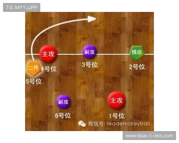 西安排球队快攻战术解析与实战应用探讨