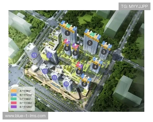 杭州足球队配合风格深度解析与对比分析